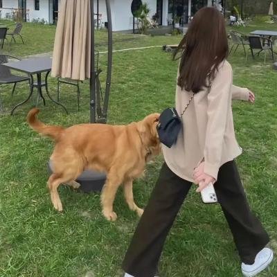 独角兽：永恒的战士